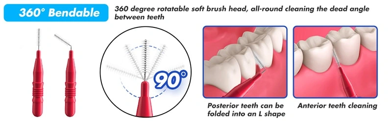 Interdental Brushes